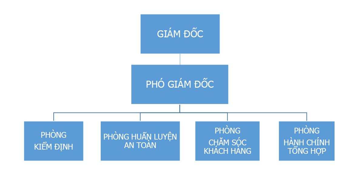 sơ đồ tổ chức